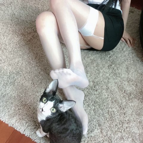 51酱 – 全套16期&随包视频[4.3G-2025.9]