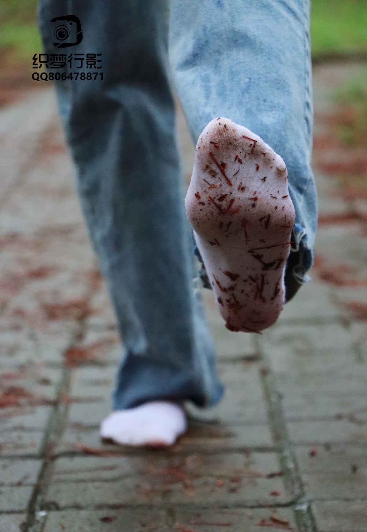 织梦映像 – 全套69期及视频合集[541G-2025.3]